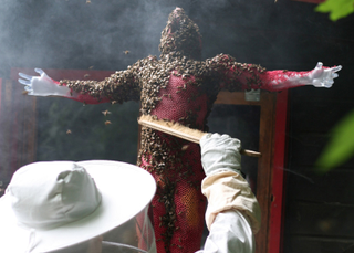 Illustration for article titled These Honeycomb Sculptures Made by Bees Are Simply Majestic